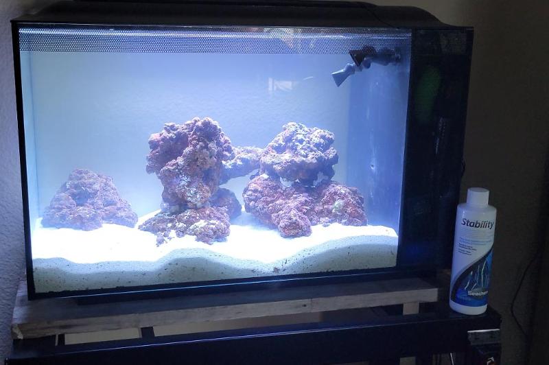 Fluval Evo 13.5 Thumbnail