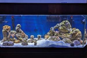 Dano's Reef Thumbnail