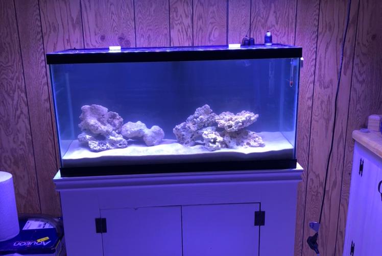 30 gallon saltwater  on 2023-11-30T05:16:54.758877Z[GMT]