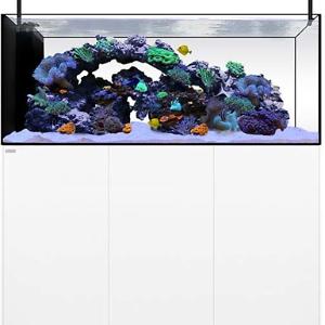 Waterbox Aquarium