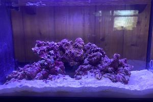 Bedroom Reef Thumbnail