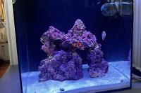 Aquarium on 2024-05-03T21:26:23.881439Z[GMT]