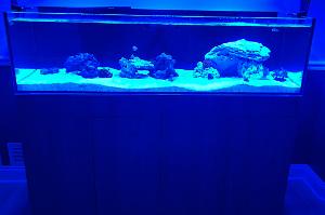 80 Gallon Salt Tank on 2024-05-22T03:06:59.323296Z[GMT]