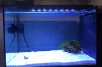 Fluval - Evo 13.5 on 2024-06-09T16:03:59.974971Z[GMT]