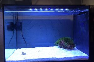 Fluval - Evo 13.5 on 2024-06-09T16:03:59.974971Z[GMT]