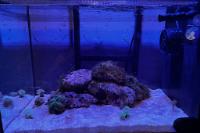 Fluval - Evo 13.5 on 2024-06-22T19:07:16.027815Z[GMT]