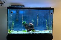 Discus Tank on 2024-06-25T22:26:30.570104Z[GMT]