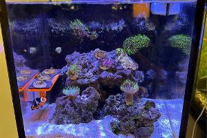 Nano 10 gal on 2024-06-30T20:00:09.934913Z[GMT]