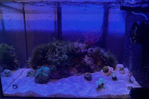 Fluval - Evo 13.5 on 2024-08-16T20:06:10.443545Z[GMT]