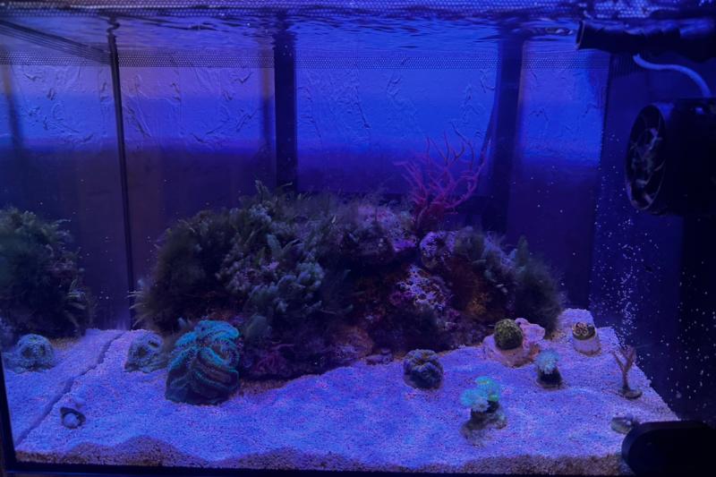 Fluval - Evo 13.5 Thumbnail