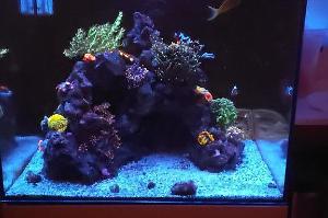 Waterbox 20G Thumbnail