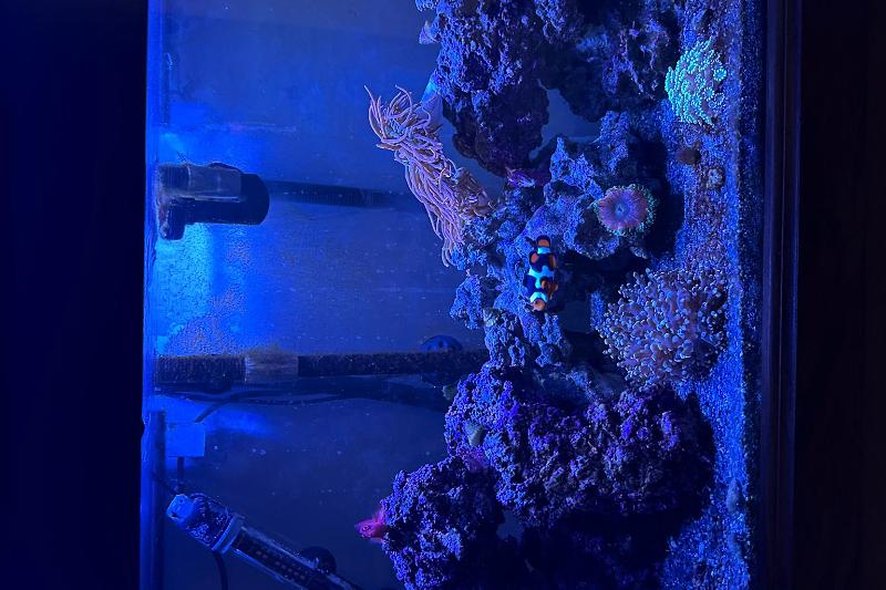 25 gal tank Thumbnail