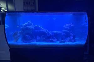 Reef Tank 32.5 Thumbnail