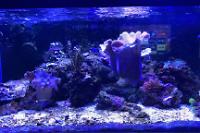 40 Gallon Softy on 2024-10-12T16:12:56.189246Z[GMT]