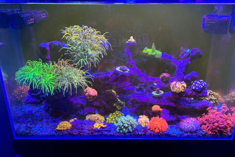 24 Gallon Nano Reef Thumbnail