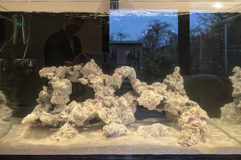 Reef Tank  Thumbnail