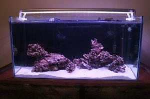 3ft Nem tank Thumbnail