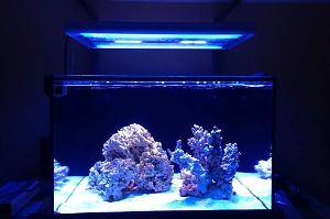 ReefCube Thumbnail