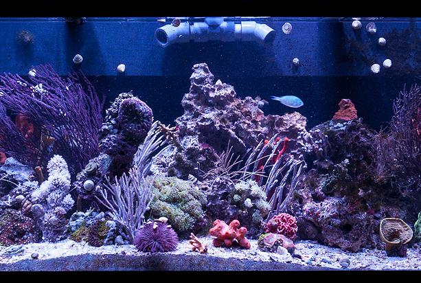 FTS September 9, 2012