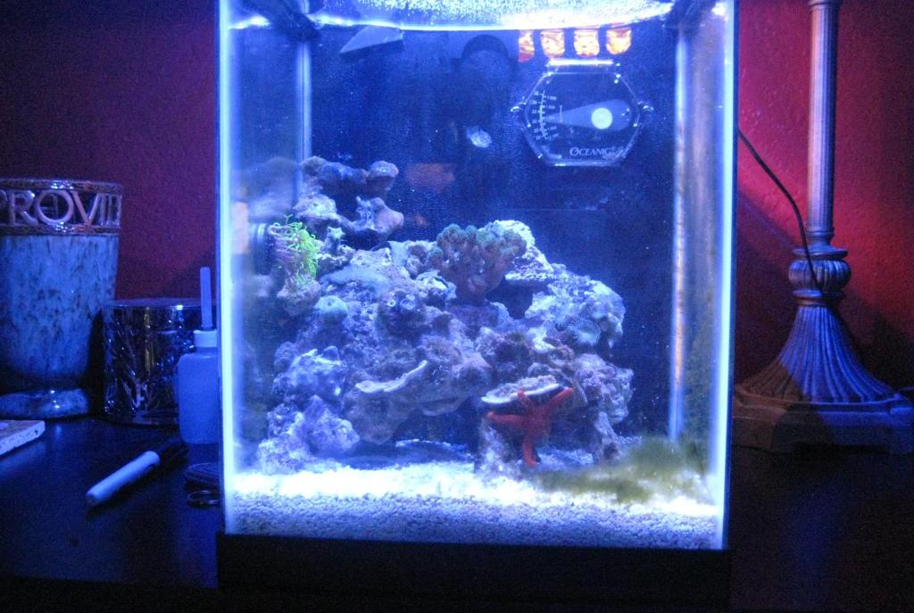 FTS