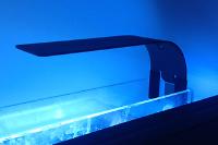 EcoPico 3 LED Light Arm for the refugium.