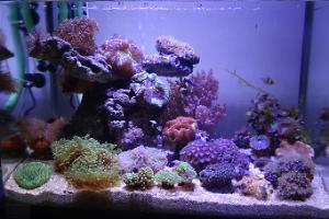 80l Nano Tank Thumbnail