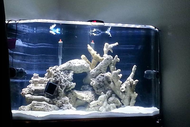 90 Gallon Mix Reef Thumbnail