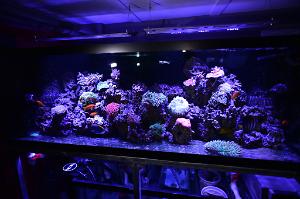 FTS January 1, 2014