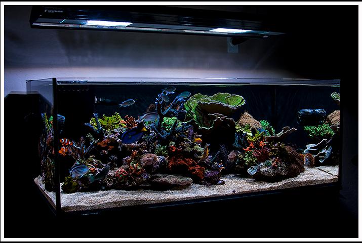 FTS from the Left