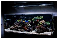 FTS from the Right