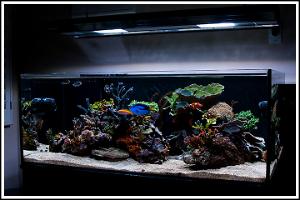 FTS from the Right