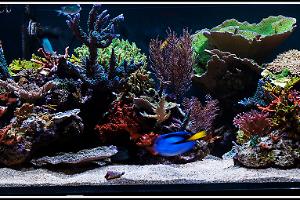 FTS Pano