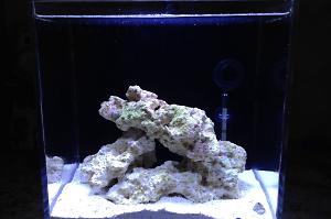 Micro-Reefs 4.3G Thumbnail