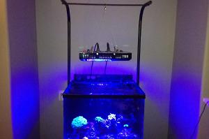 Display Tank Thumbnail