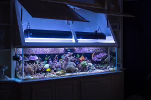 FTS February 27, 2014 - New MH/T5