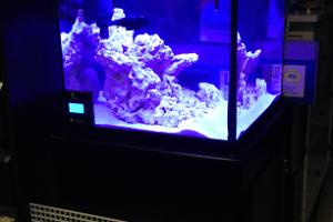 Marineland 27gal Cube Thumbnail