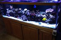 Updated Tank March 26, 2014