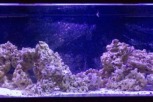 125G Reef Thumbnail