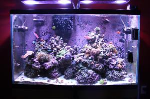 110 Reef Thumbnail