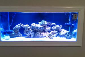 75G Mixed Reef Thumbnail