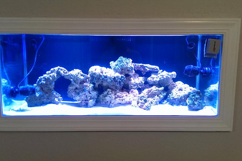 75G Mixed Reef Thumbnail