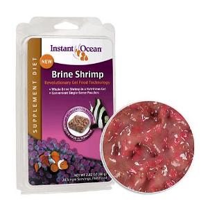 instant ocean brine shrimp gel food