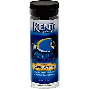 Kent Garlic Extreme