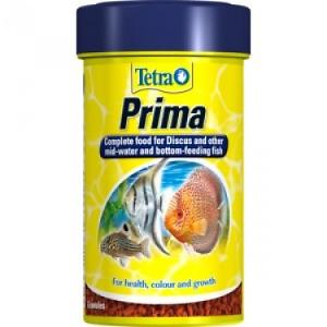 Tetra Prima