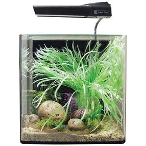 Aqua One Aquarium