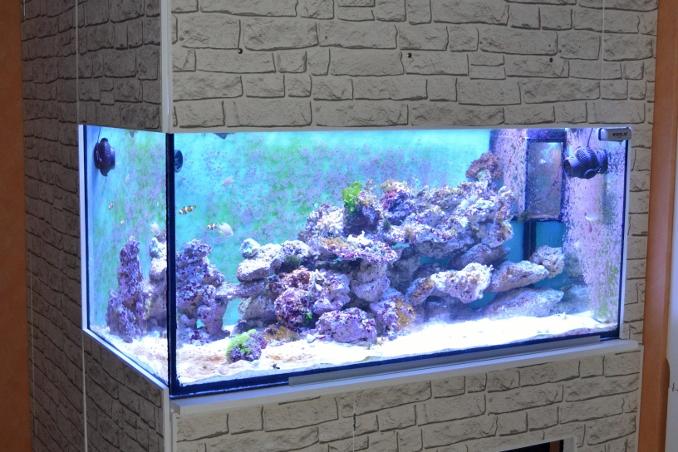 600 Liter Reef Thumbnail