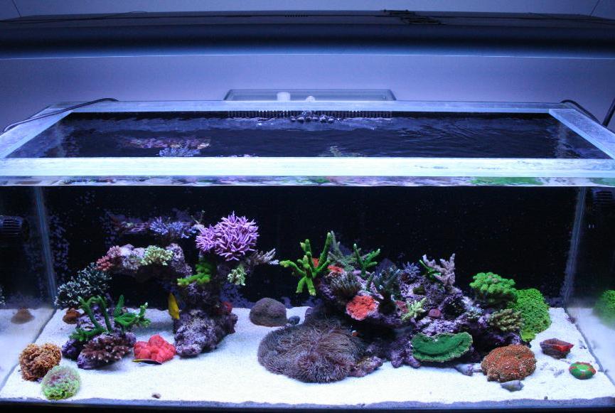 FTS 