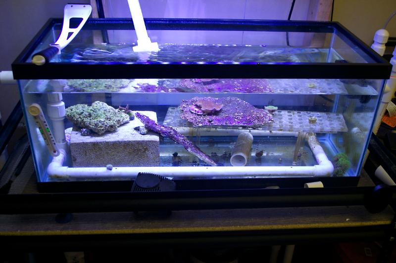 30 Gallon/100 gallon stock Thumbnail