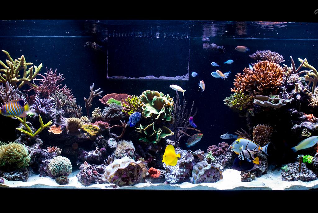 FTS July  2014