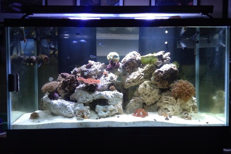 120 gallon Thumbnail